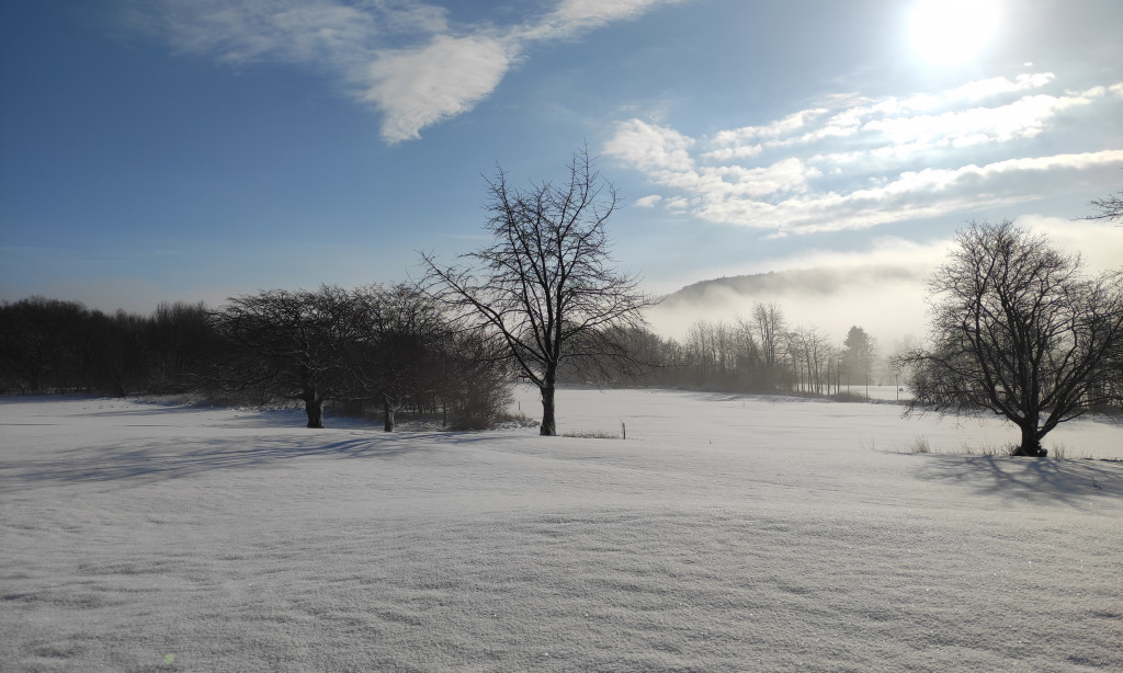 EIN FROHES NEUES JAHR 2026