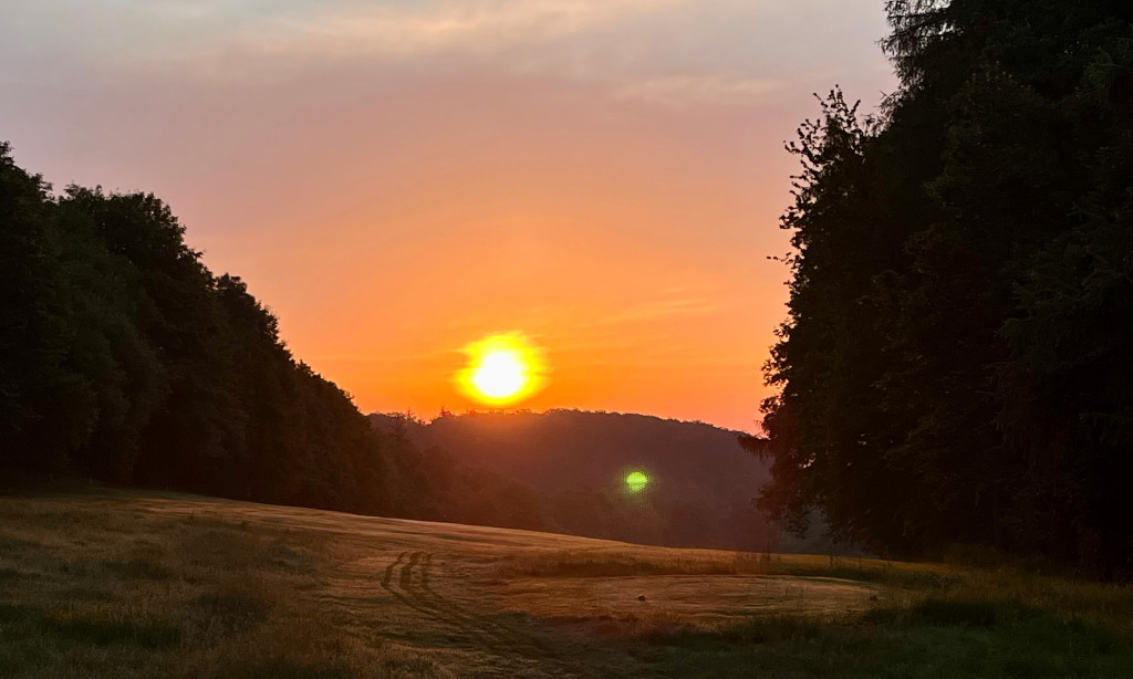Early Bird Turnier 2026 Sonntag, 21. Juni
